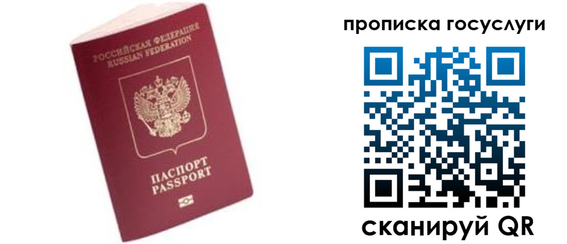 прописка в Волгодонске